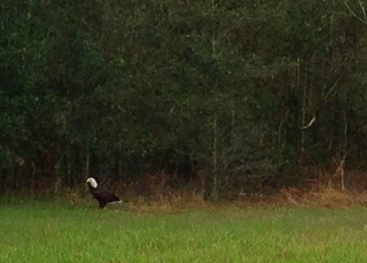 Photo Jan 21, 9 10 15 AM(1)