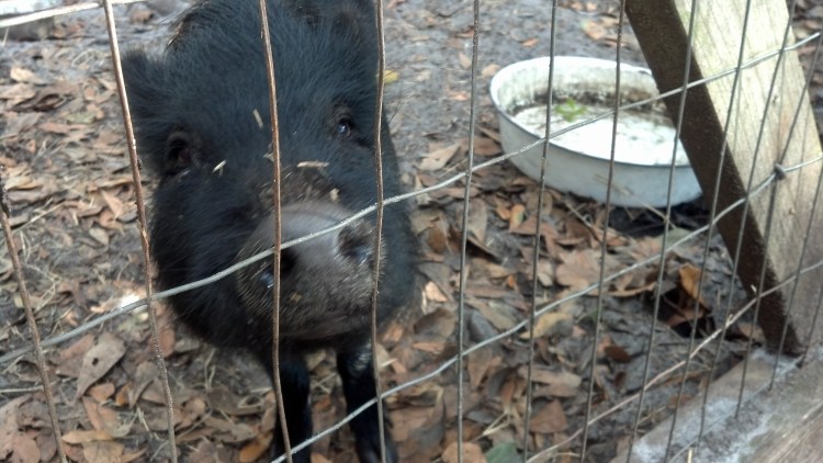 2013-02-07_09-30-03_879